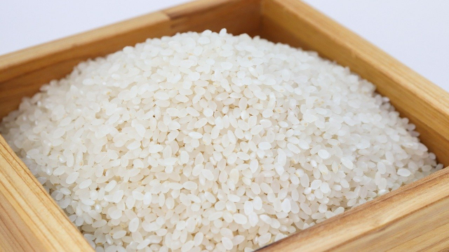 Rêver de riz